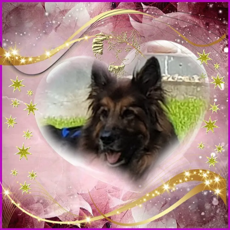 Condolence image of Dzień Dobry❤️❤️❤️mój Ukochany❤️❤️❤️❤️❤️❤️❤️Misieńku❤️❤️❤️