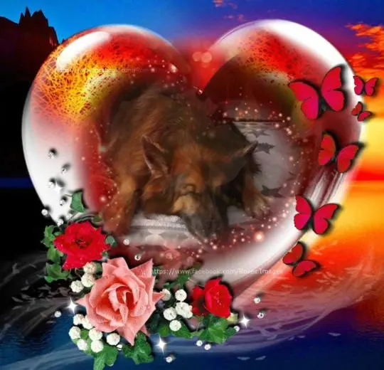 Condolence image of Dobrej Nocki❤️❤️❤️❤️❤️❤️mój Ukochany❤️❤️❤️❤️❤️❤️Misieńku❤️❤️❤️