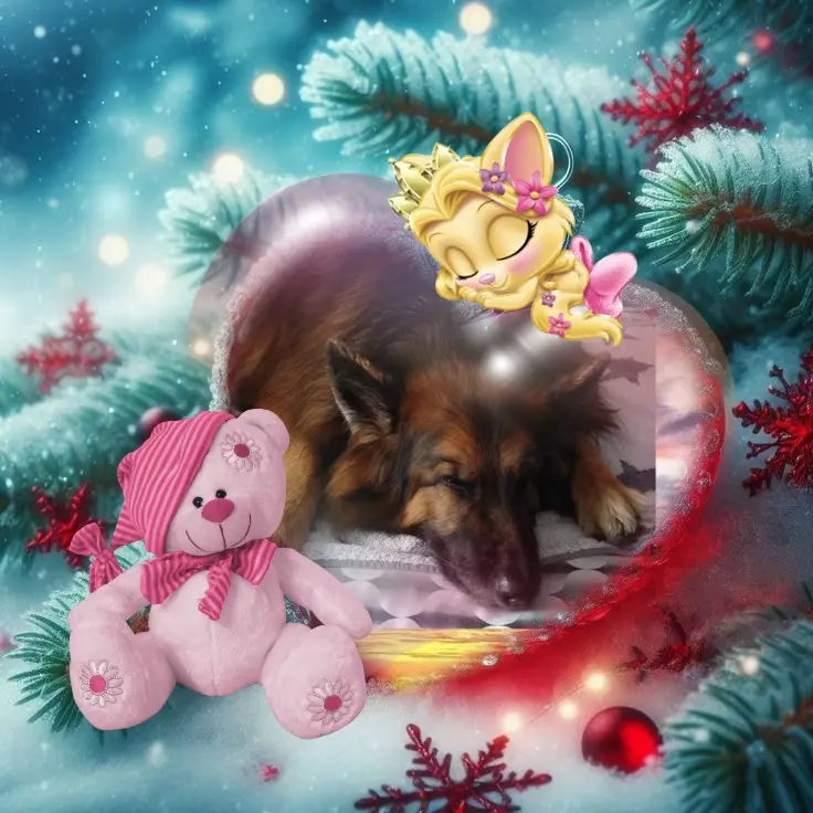 Condolence image of Dobrej Nocki❤️❤️❤️❤️❤️❤️mój Ukochany❤️❤️❤️❤️❤️❤️Misieńku❤️❤️❤️