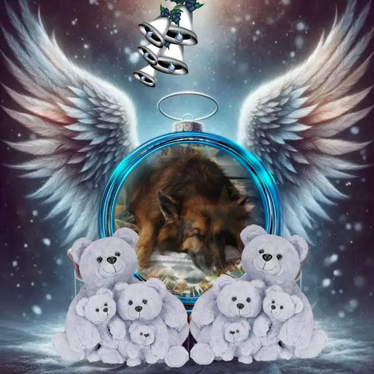 Condolence image of Dobrej Nocki❤️❤️❤️❤️❤️❤️mój Ukochany❤️❤️❤️❤️❤️❤️Misieńku❤️❤️❤️