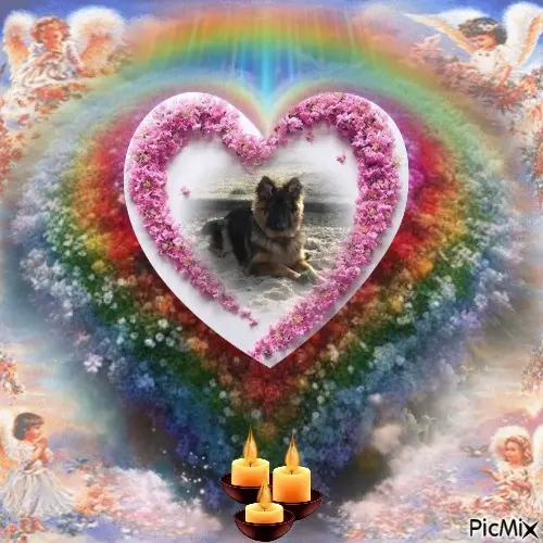 Condolence image of Dzień Dobry❤️❤️❤️mój Ukochany❤️❤️❤️❤️❤️❤️❤️Misieńku❤️❤️❤️
