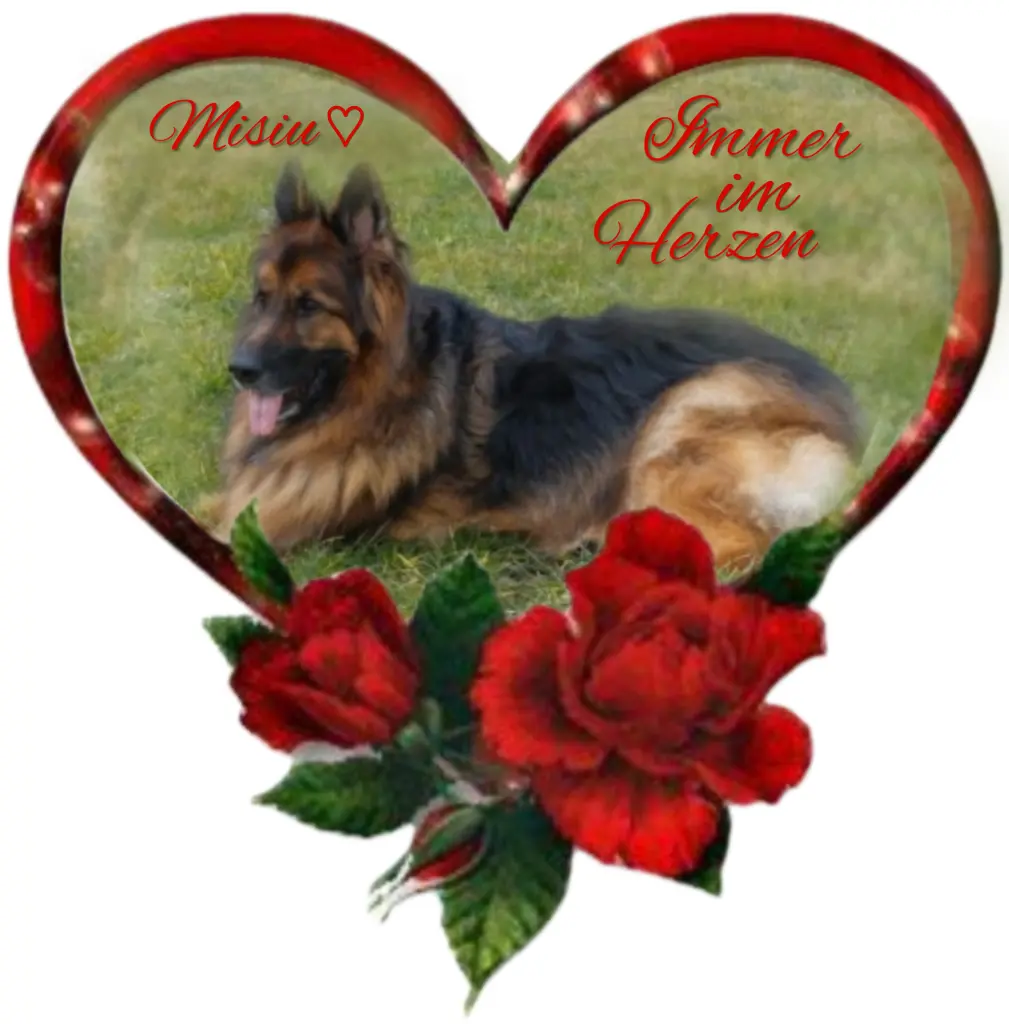 Condolence image of Niedziela, 351 tygodni bez Ciebie♥️ kochany Misiu♥️