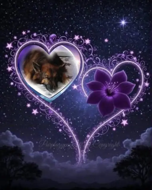 Condolence image of Dobrej Nocki❤️❤️❤️❤️❤️❤️mój Ukochany❤️❤️❤️❤️❤️❤️Misieńku❤️❤️❤️