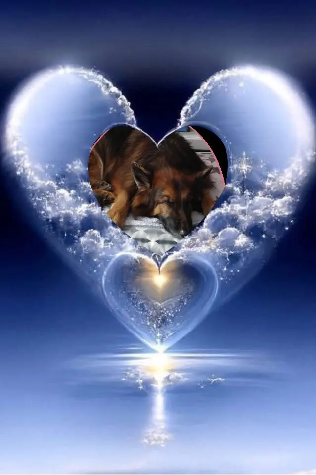 Condolence image of Dobrej Nocki❤️❤️❤️❤️❤️❤️mój Ukochany❤️❤️❤️❤️❤️❤️Misieńku❤️❤️❤️