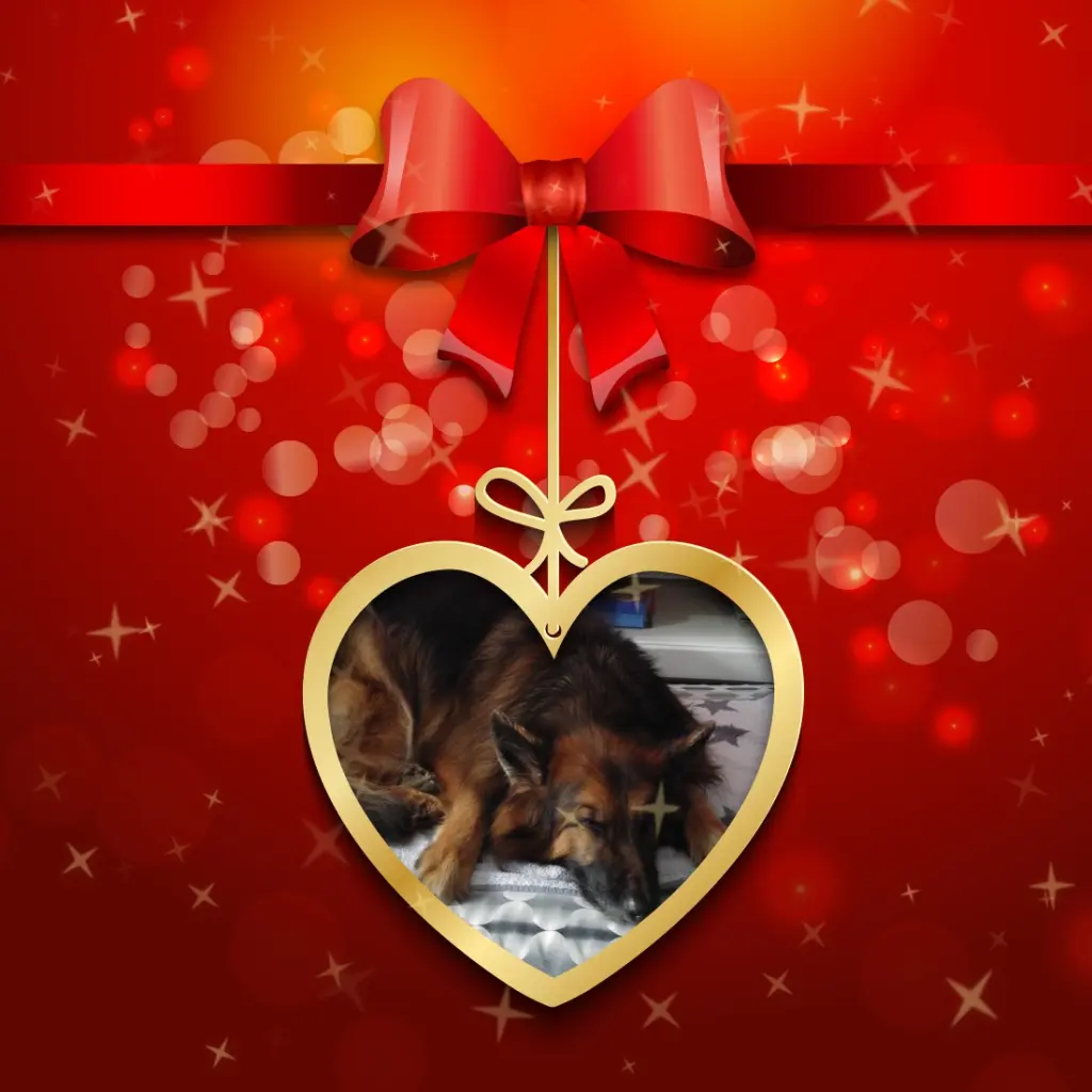 Condolence image of Dobrej Nocki❤️❤️❤️❤️❤️❤️mój Ukochany❤️❤️❤️❤️❤️❤️Misieńku❤️❤️❤️