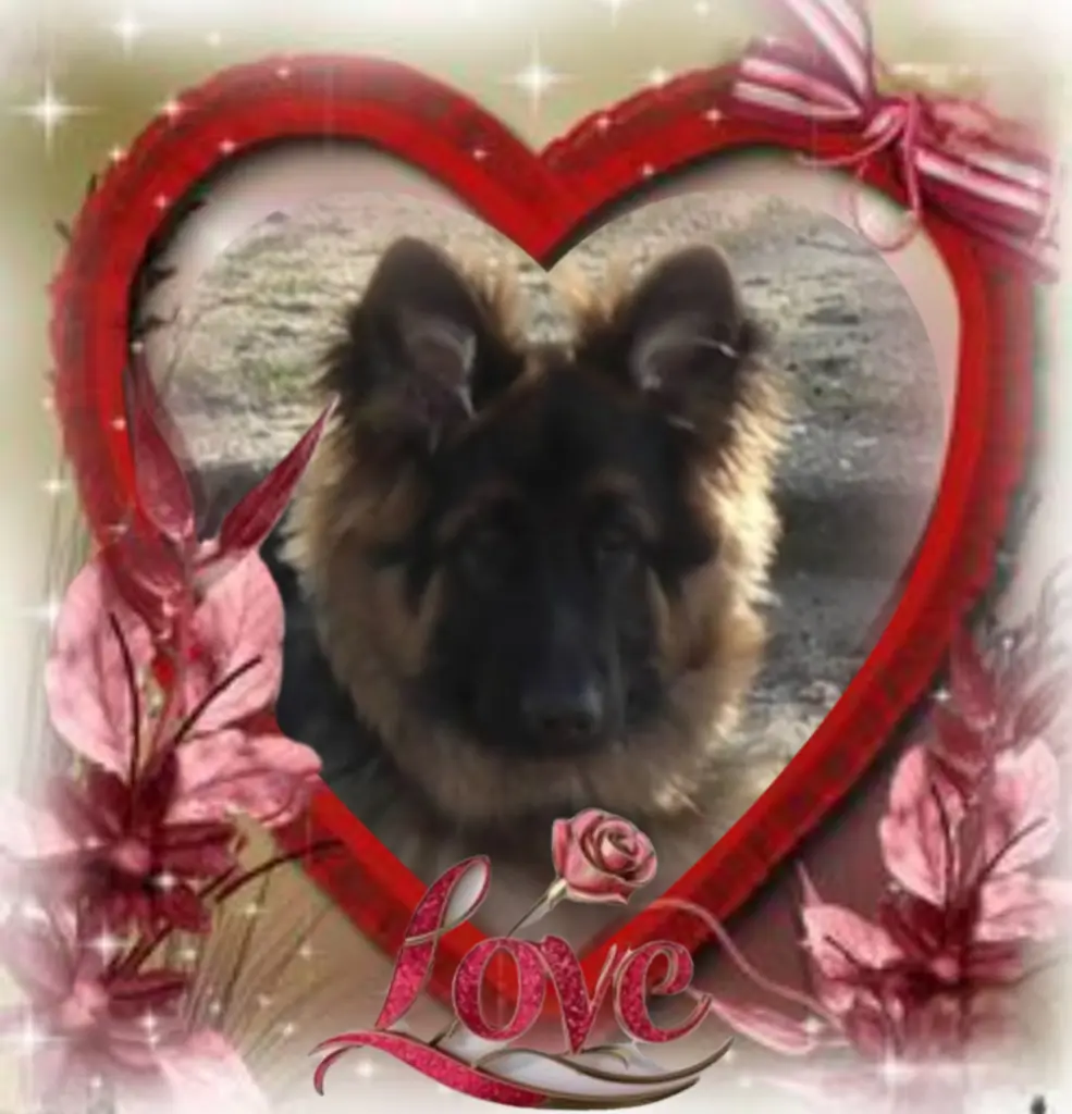 Condolence image of Niedziela, 354 tygodnie bez Ciebie♥️ kochany Misiu♥️