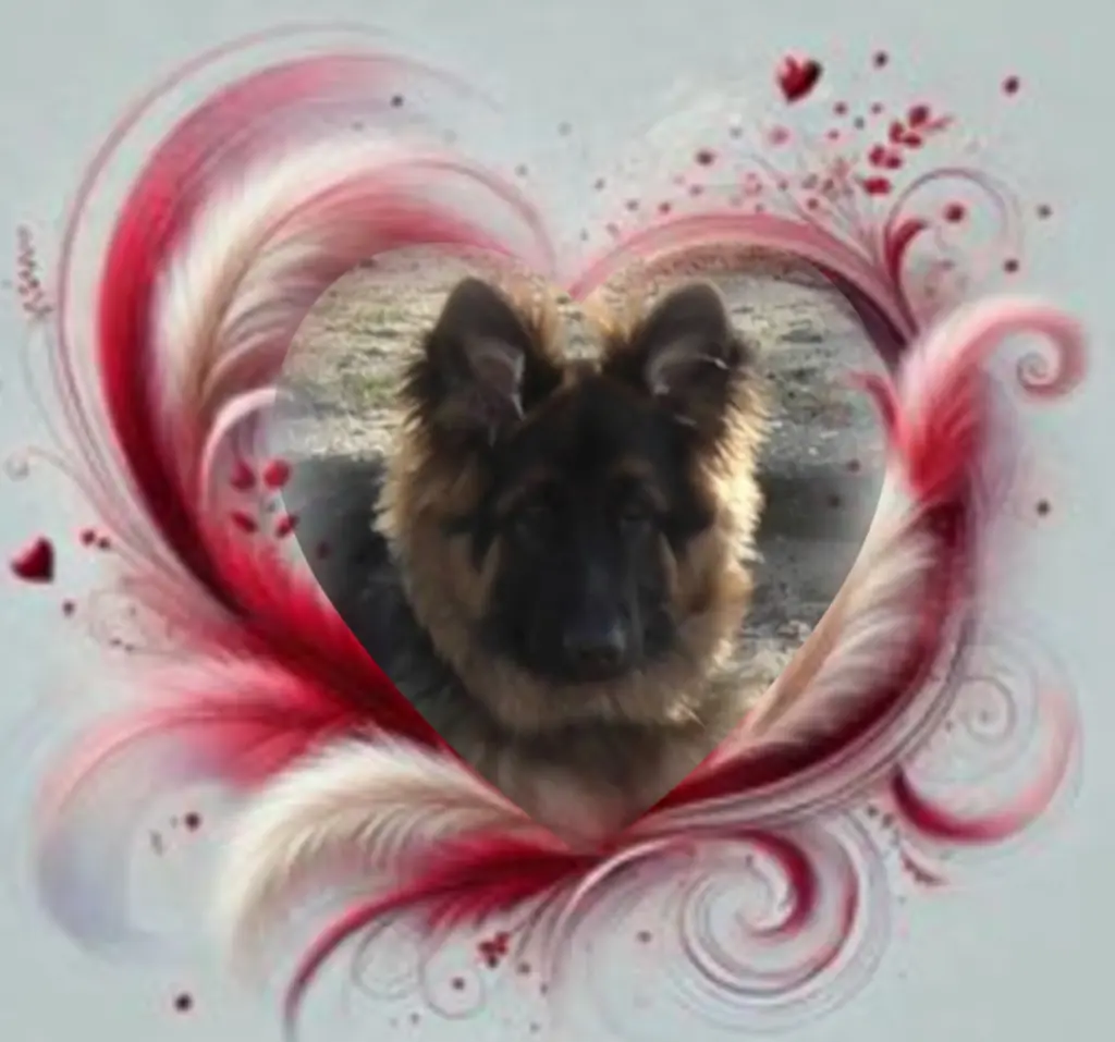 Condolence image of Niedziela, 355 tygodni bez Ciebie♥️ kochany Misiu♥️