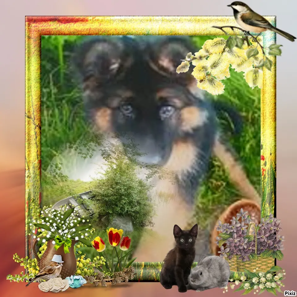 Condolence image of Dzień Dobry❤️❤️❤️mój Ukochany❤️❤️❤️❤️❤️❤️❤️Misieńku❤️❤️❤️
