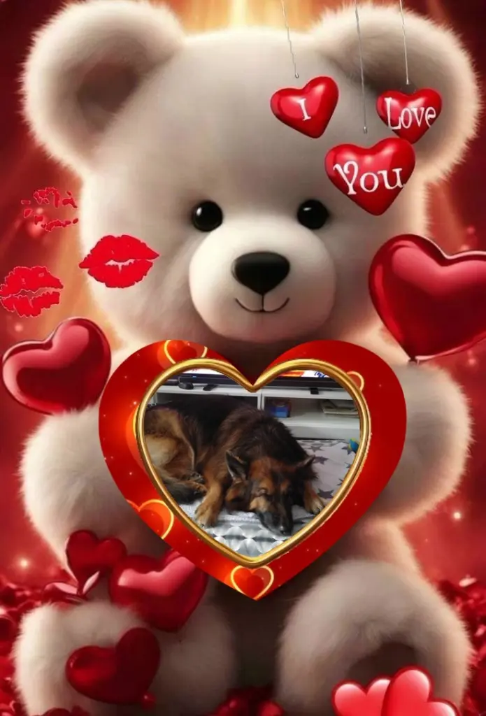 Condolence image of Dobrej Nocki❤️❤️❤️❤️❤️❤️mój Ukochany❤️❤️❤️❤️❤️❤️Misieńku❤️❤️❤️