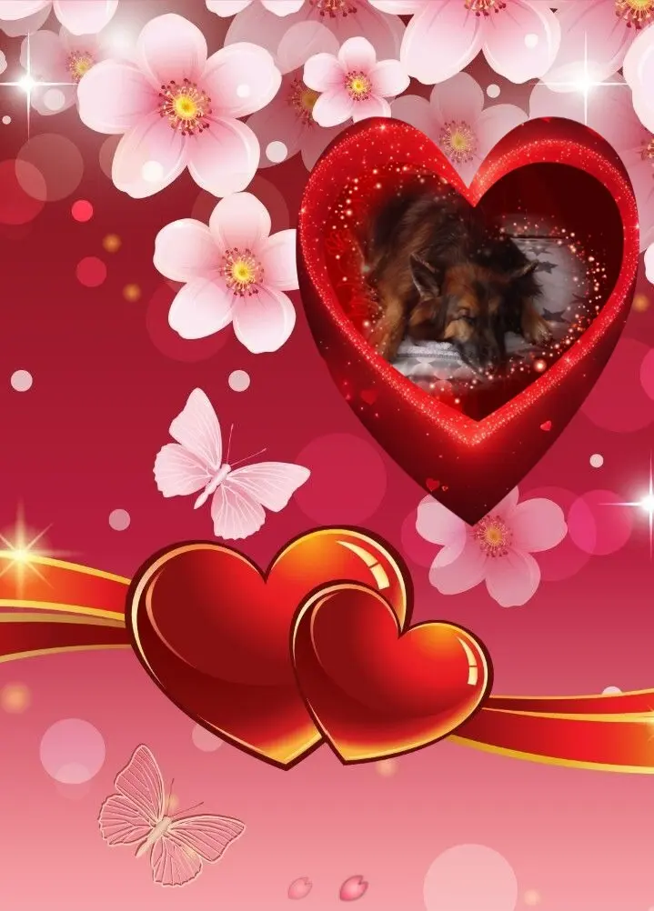 Condolence image of Dobrej Nocki❤️❤️❤️❤️❤️❤️mój Ukochany❤️❤️❤️❤️❤️❤️Misieńku❤️❤️❤️