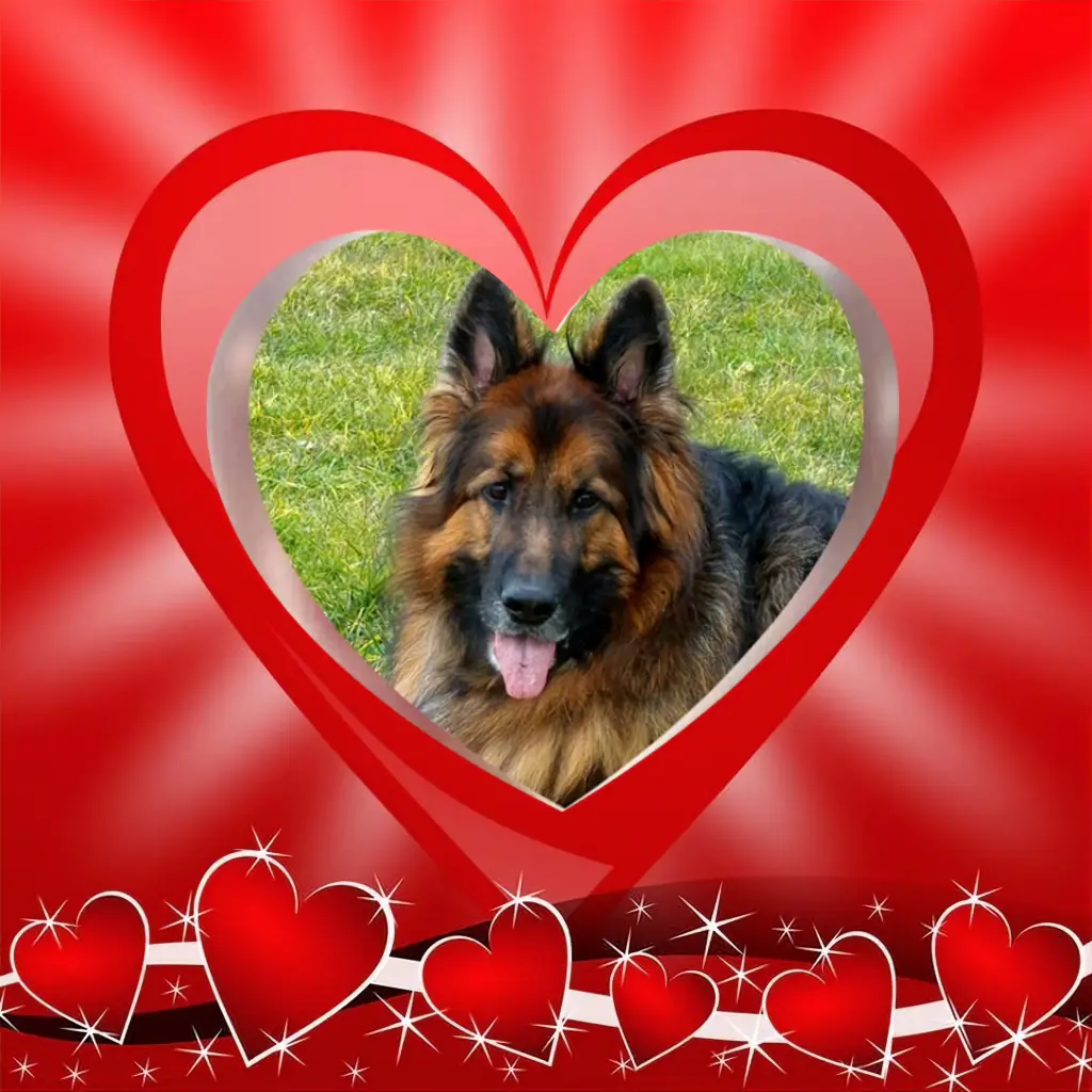 Condolence image of Dobrej Nocki❤️❤️❤️❤️❤️❤️mój Ukochany❤️❤️❤️❤️❤️❤️Misieńku❤️❤️❤️