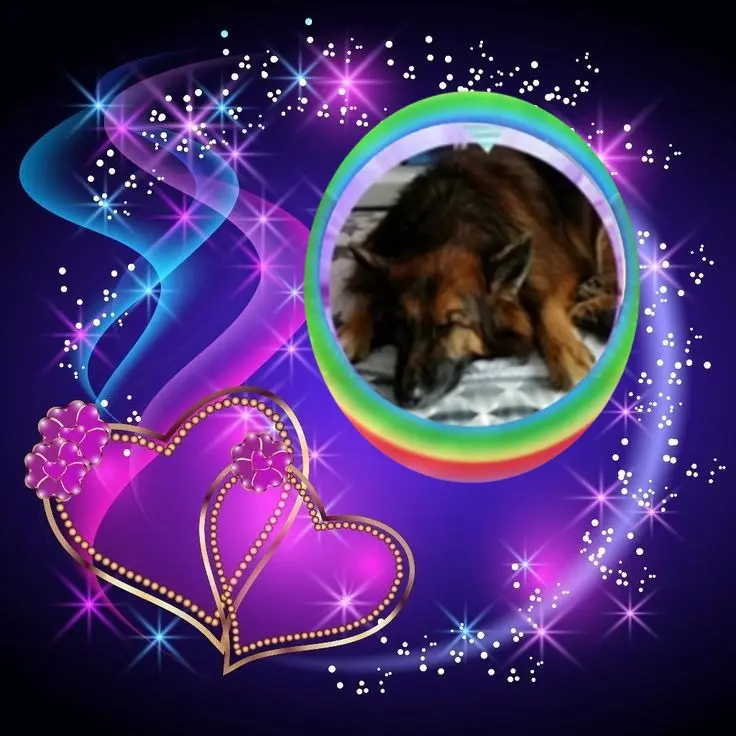 Condolence image of Dobrej Nocki❤️❤️❤️❤️❤️❤️mój Ukochany❤️❤️❤️❤️❤️❤️Misieńku❤️❤️❤️