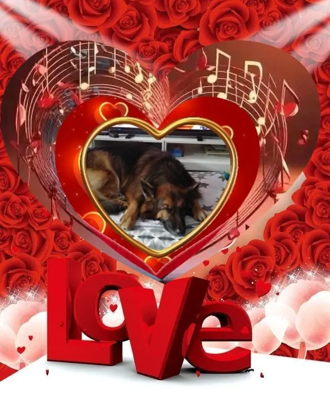Condolence image of Dobrej Nocki❤️❤️❤️❤️❤️❤️mój Ukochany❤️❤️❤️❤️❤️❤️Misieńku❤️❤️❤️