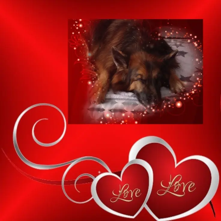 Condolence image of Dobrej Nocki❤️❤️❤️❤️❤️❤️mój Ukochany❤️❤️❤️❤️❤️❤️Misieńku❤️❤️❤️