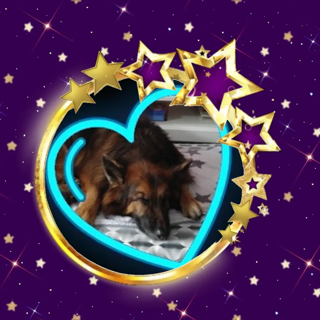 Condolence image of Dobrej Nocki❤️❤️❤️❤️❤️❤️mój Ukochany❤️❤️❤️❤️❤️❤️Misieńku❤️❤️❤️