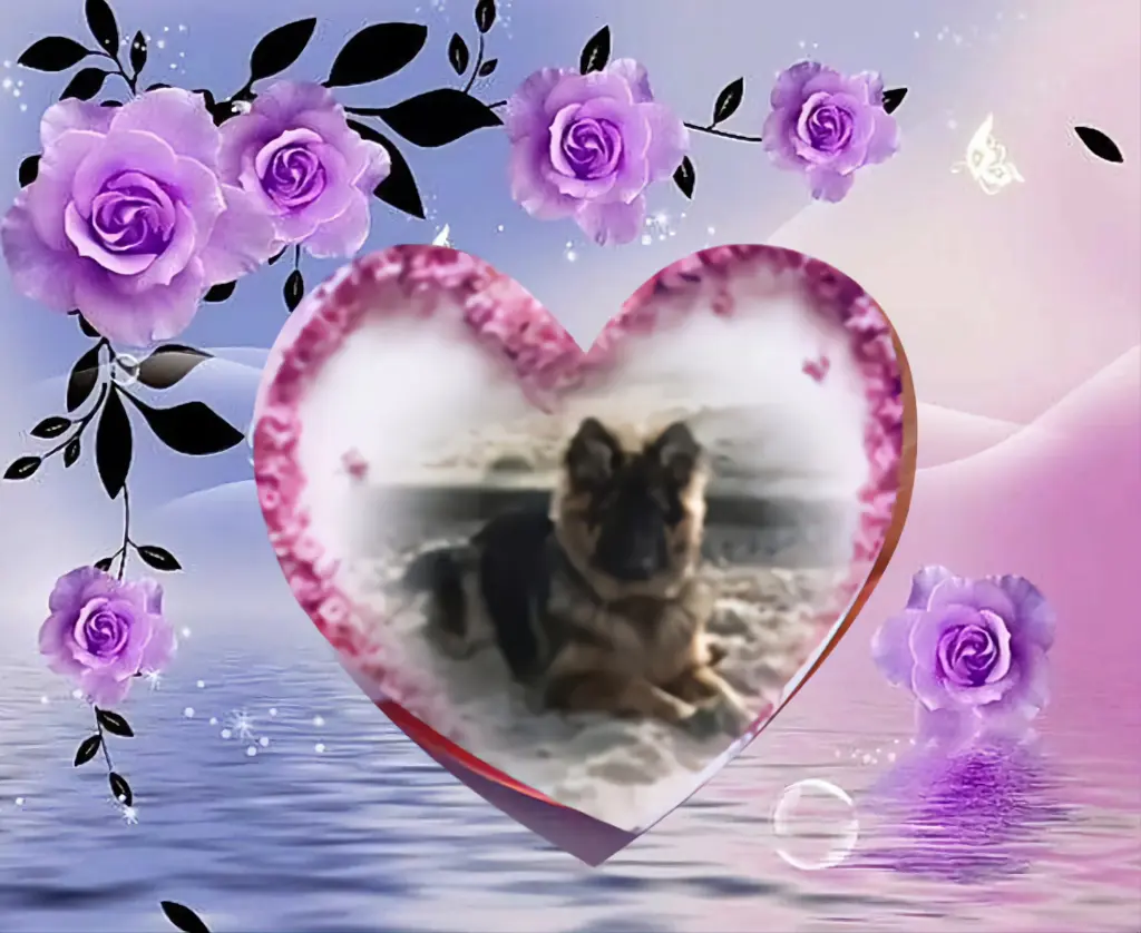 Condolence image of Dzień Dobry❤️❤️❤️mój Ukochany❤️❤️❤️❤️❤️❤️❤️Misieńku❤️❤️❤️