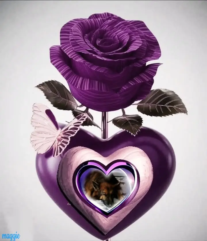 Condolence image of Dobrej Nocki❤️❤️❤️❤️❤️❤️mój Ukochany❤️❤️❤️❤️❤️❤️Misieńku❤️❤️❤️