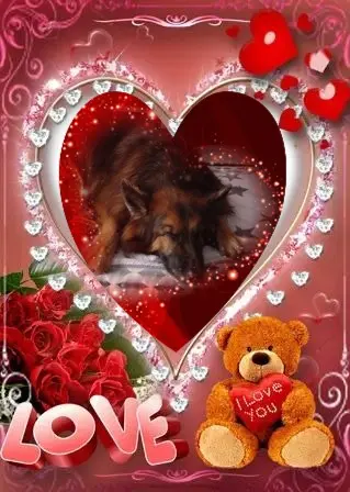 Condolence image of Dobrej Nocki❤️❤️❤️❤️❤️❤️mój Ukochany❤️❤️❤️❤️❤️❤️Misieńku❤️❤️❤️