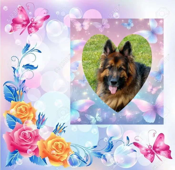 Condolence image of Dzień Dobry❤️❤️❤️mój Ukochany❤️❤️❤️❤️❤️❤️❤️Misieńku❤️❤️❤️