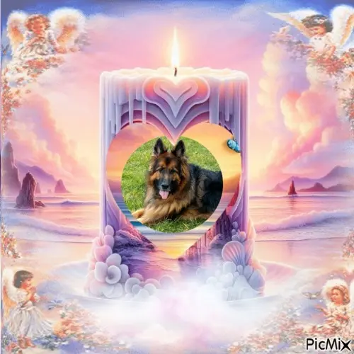 Condolence image of 7.Lat......BEZ CIEBIE❤️❤️❤️⭐️UKOCHANY❤️❤️❤️❤️❤️❤️❤️❤️❤️❤️❤️❤️MISIEŃKU❤️❤️❤️⭐️