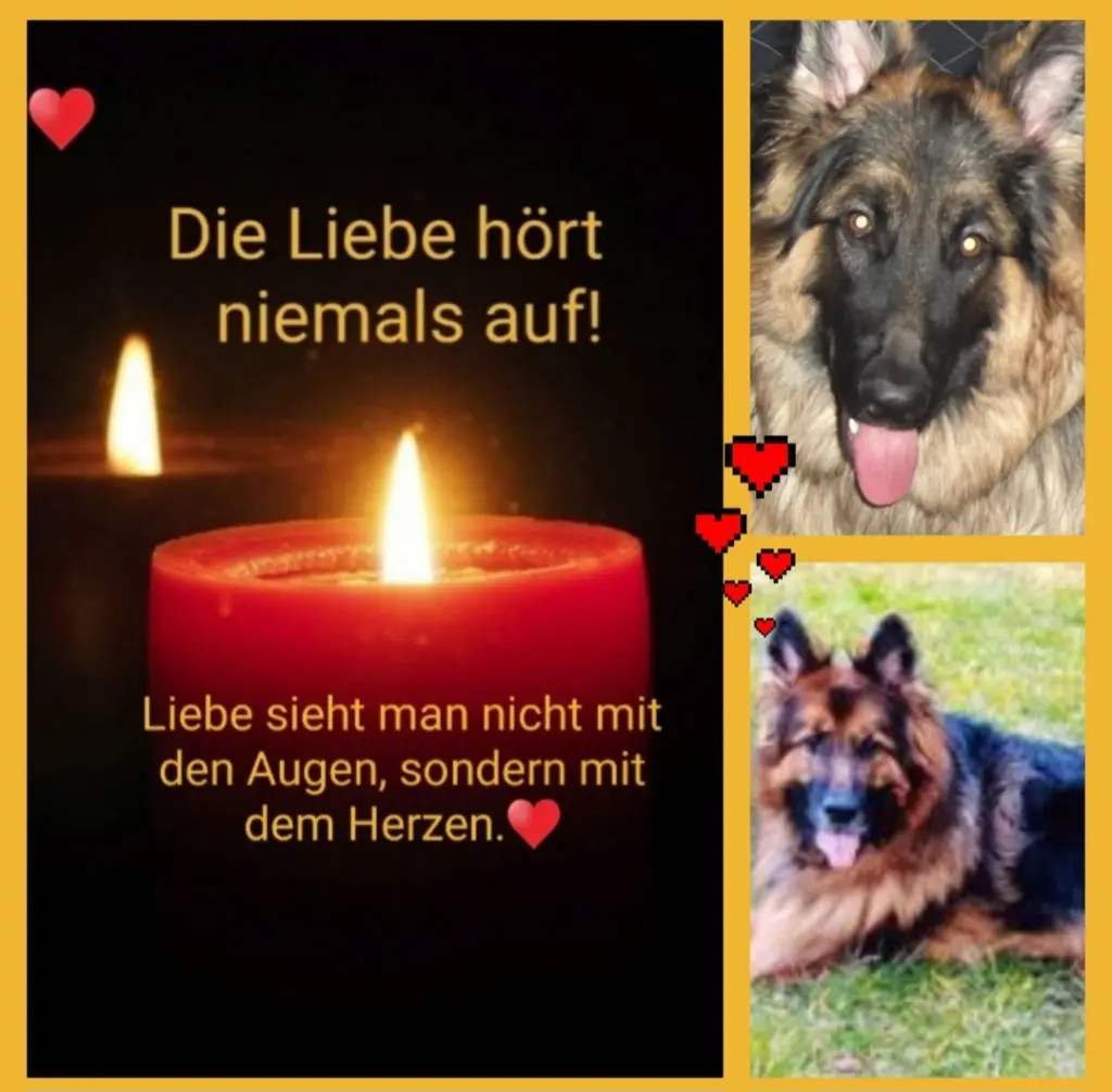 Condolence image of Birgit mit Cora tief im Herzen 
