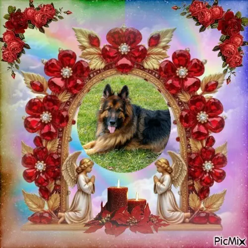 Condolence image of Dzień Dobry❤️❤️❤️mój Ukochany❤️❤️❤️❤️❤️❤️❤️Misieńku❤️❤️❤️