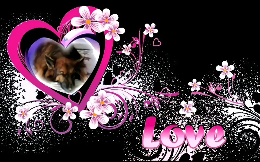 Condolence image of Dobrej Nocki❤️❤️❤️❤️❤️❤️mój Ukochany❤️❤️❤️❤️❤️❤️Misieńku❤️❤️❤️