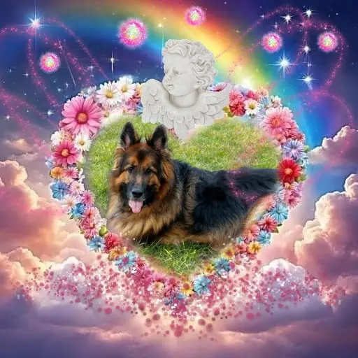 Condolence image of Dzień Dobry❤️❤️❤️mój Ukochany❤️❤️❤️❤️❤️❤️❤️Misieńku❤️❤️❤️
