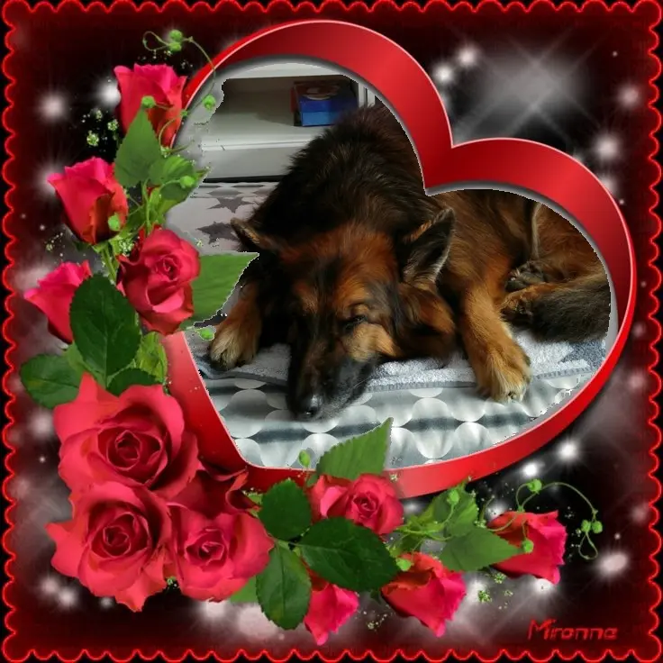 Condolence image of Dobrej Nocki❤️❤️❤️❤️❤️❤️mój Ukochany❤️❤️❤️❤️❤️❤️Misieńku❤️❤️❤️