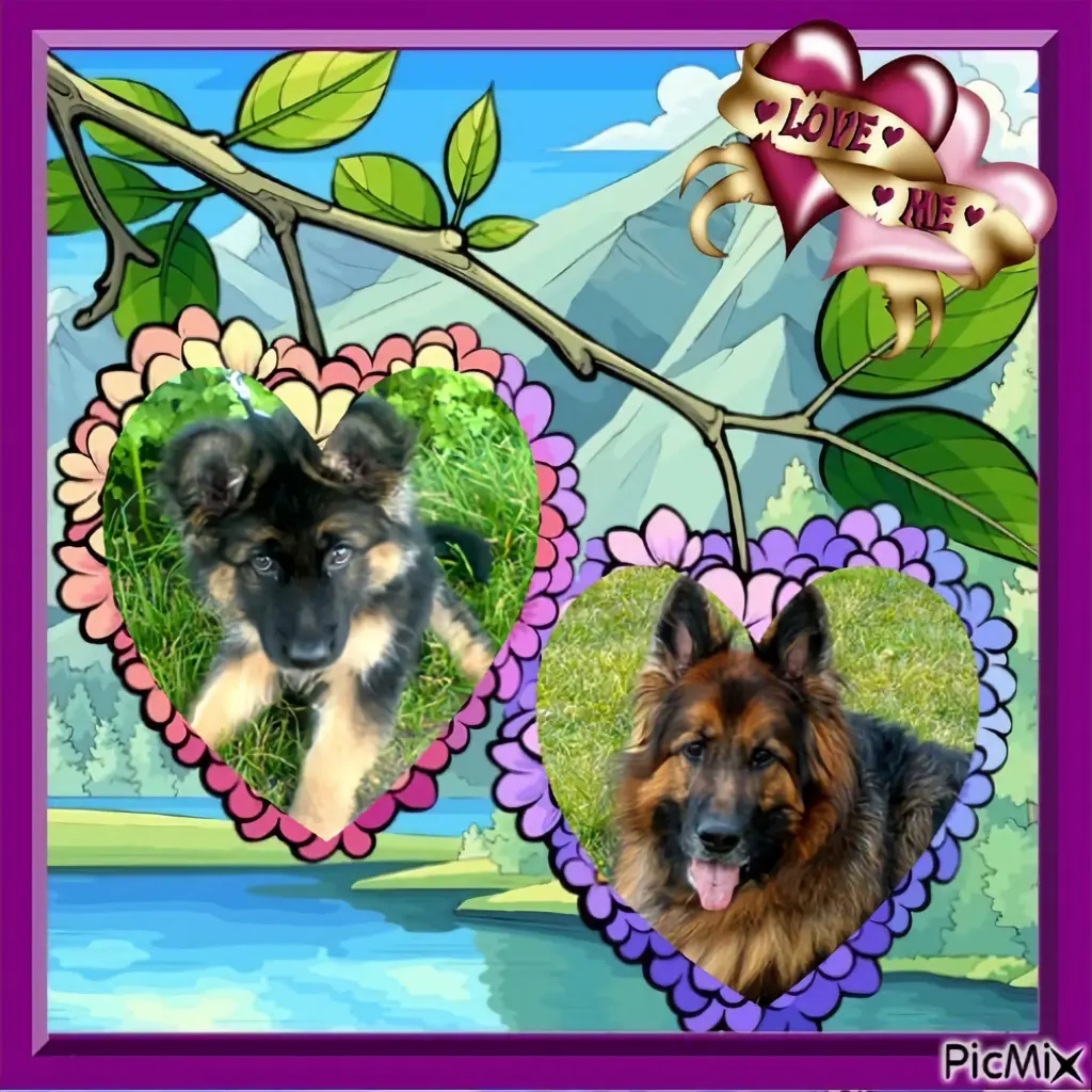 Condolence image of Dzień Dobry❤️❤️❤️mój Ukochany❤️❤️❤️❤️❤️❤️❤️Misieńku❤️❤️❤️