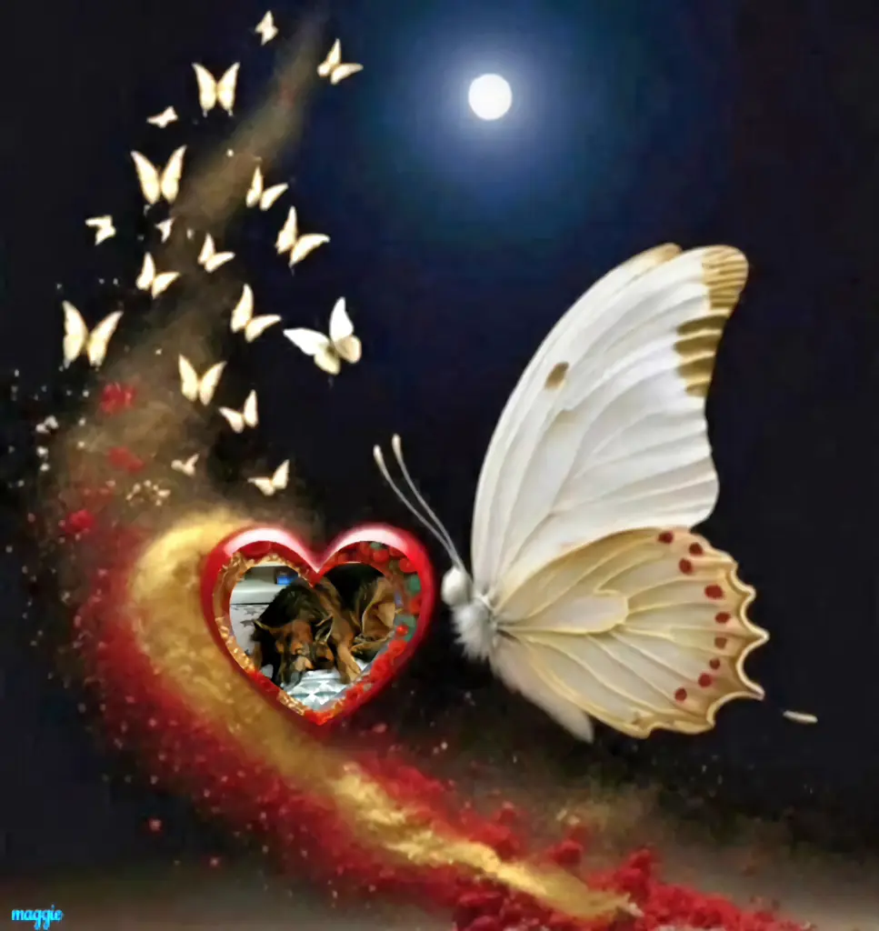 Condolence image of Dobrej Nocki❤️❤️❤️❤️❤️❤️mój Ukochany❤️❤️❤️❤️❤️❤️Misieńku❤️❤️❤️