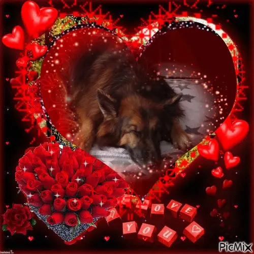 Condolence image of Dobrej Nocki❤️❤️❤️❤️❤️❤️mój Ukochany❤️❤️❤️❤️❤️❤️Misieńku❤️❤️❤️