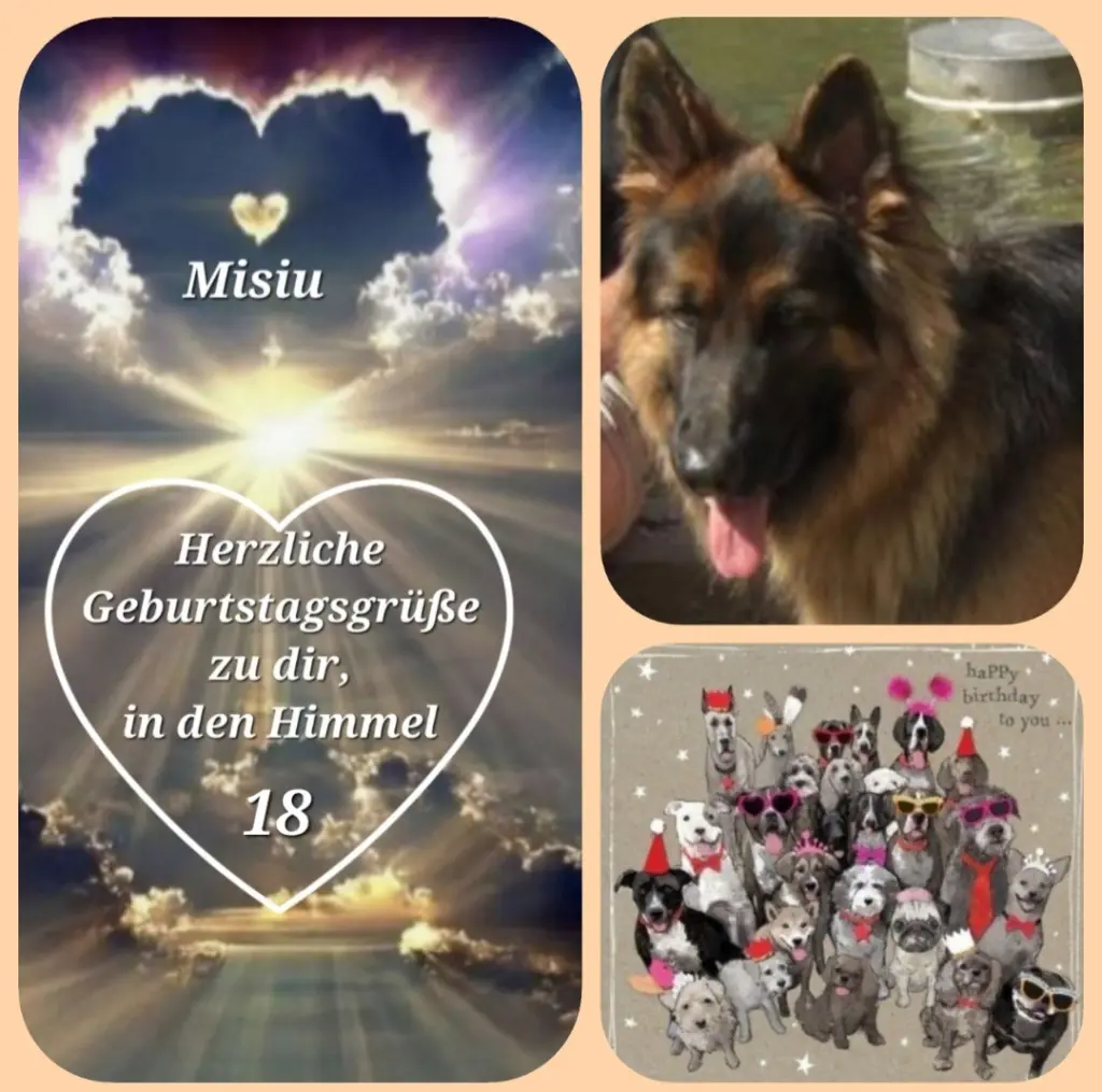 Condolence image of Birgit für Misiu zum 18. Geburtstag ♥️