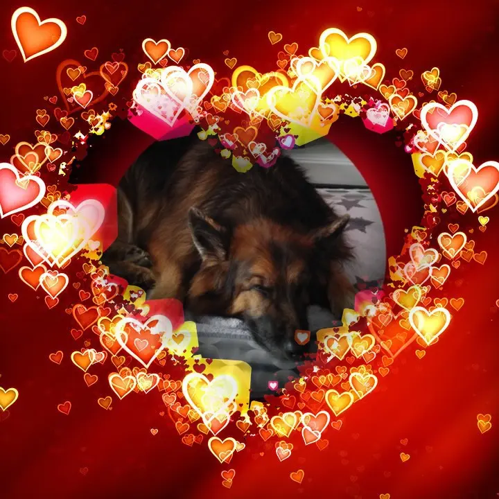 Condolence image of Dobrej Nocki Ukochany❤️❤️❤️Misieńku❤️❤️❤️⭐️