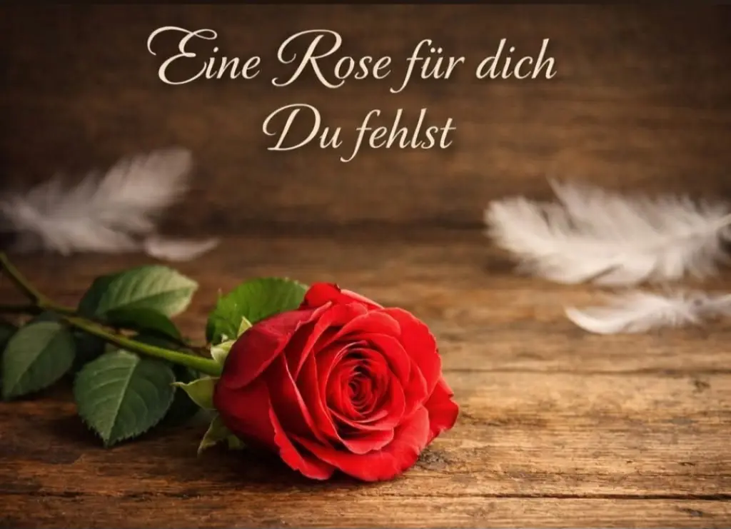Condolence image of Sonntag, 416 Wochen ohne Dich♥️ liebster Misiu♥️