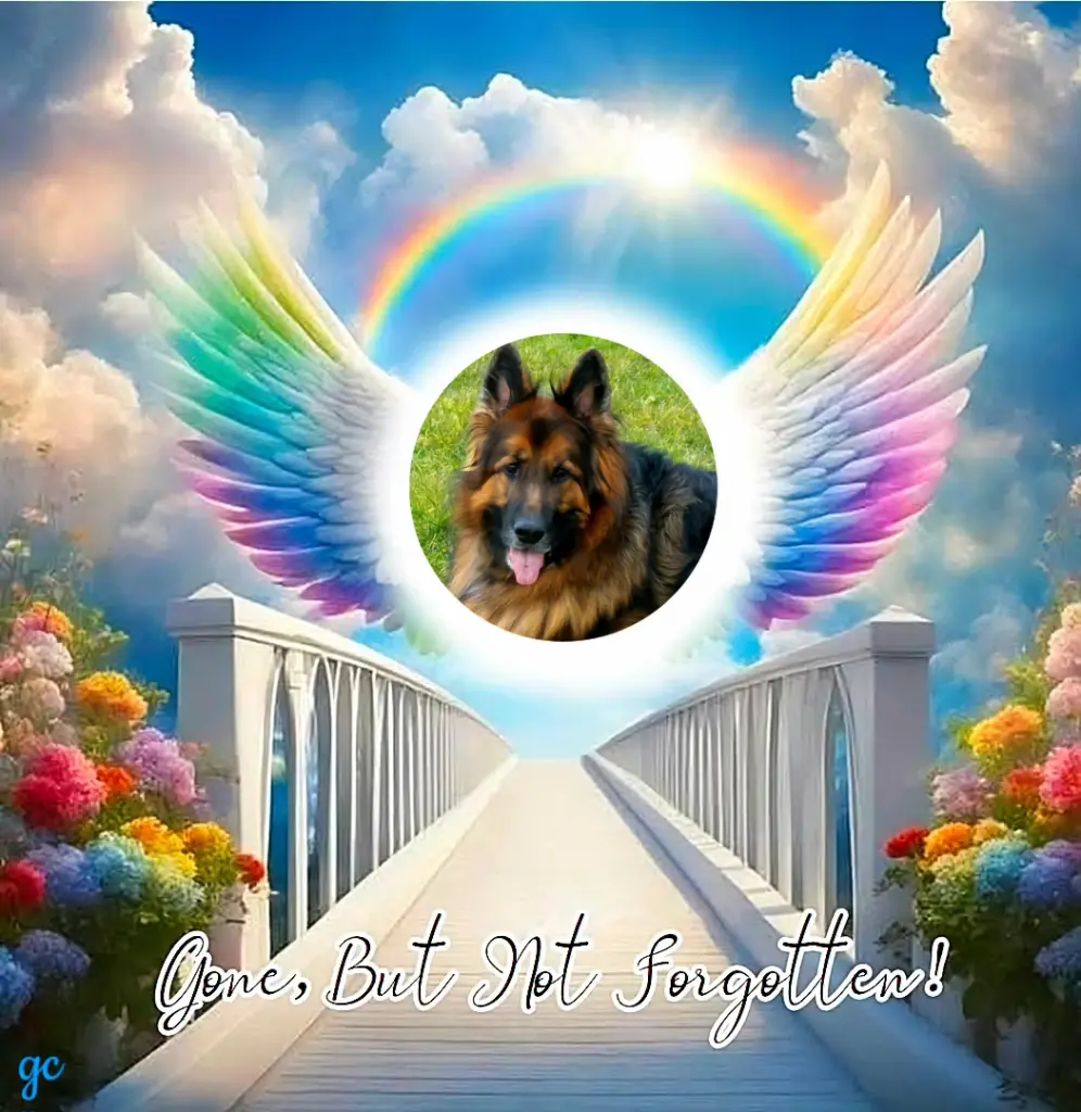 Condolence image of Dzień Dobry❤️❤️❤️Ukochany❤️❤️❤️Misieńku❤️❤️❤️⭐️🐕💋💋💋🫶🫶🫶