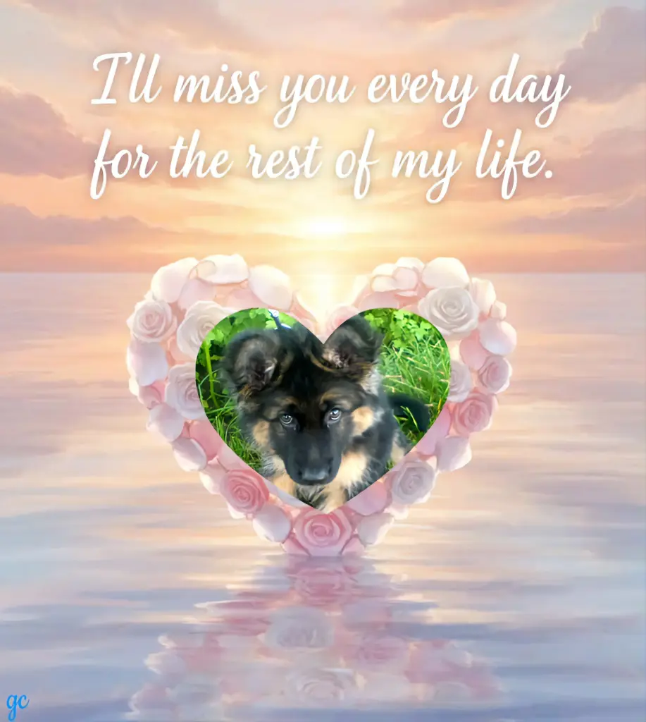 Condolence image of Dzień Dobry🫶🫶🫶moje Ukochane❤️❤️❤️Maleństwo❤️❤️❤️🐕⭐️🫶🫶🫶💋💋💋