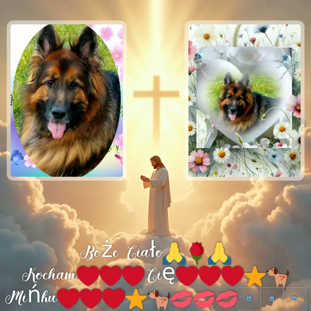 Condolence image of Dzień Dobry❤️❤️❤️mój Ukochany❤️❤️❤️Misieńku❤️❤️❤️⭐️🐕🫶🫶🫶💋💋💋