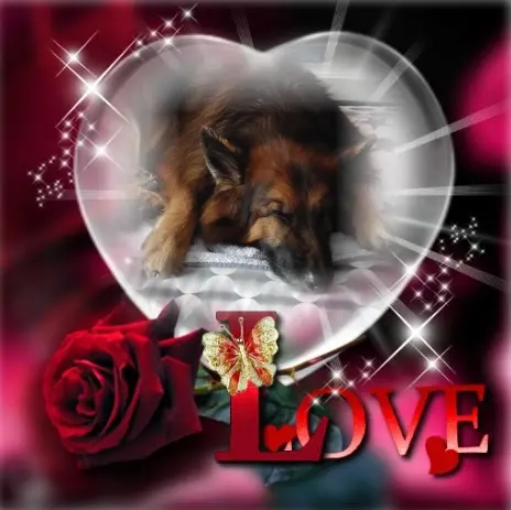 Condolence image of Dobrej Nocki❤️❤️❤️mój Ukochany❤️❤️❤️Misieńku❤️❤️❤️⭐️🐕🫶🫶🫶💋💋💋