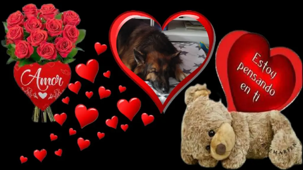 Condolence image of Dobrej Nocki❤️❤️❤️Mój Ukochany❤️❤️❤️Misieńku❤️❤️❤️🐕⭐️🫶🫶🫶💋💋💋
