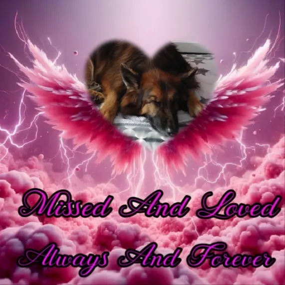 Condolence image of Dobrej Nocki❤️❤️❤️mój Ukochany❤️❤️❤️Misieńku❤️❤️❤️⭐️🐕🫶🫶🫶💋💋💋