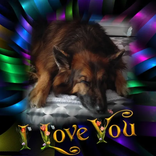Condolence image of Dobrej Nocki❤️❤️❤️mój Ukochany❤️❤️❤️Misieńku❤️❤️❤️⭐️🐕🫶🫶🫶💋💋💋