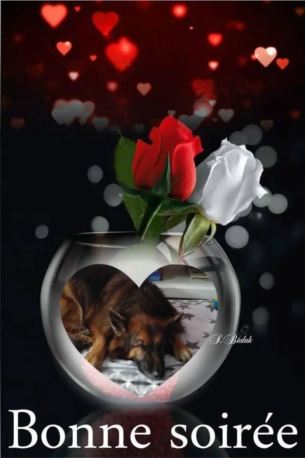 Condolence image of Dobrej Nocki❤️❤️❤️mój Ukochany❤️❤️❤️Misieńku❤️❤️❤️⭐️🐕🫶🫶🫶💋💋💋