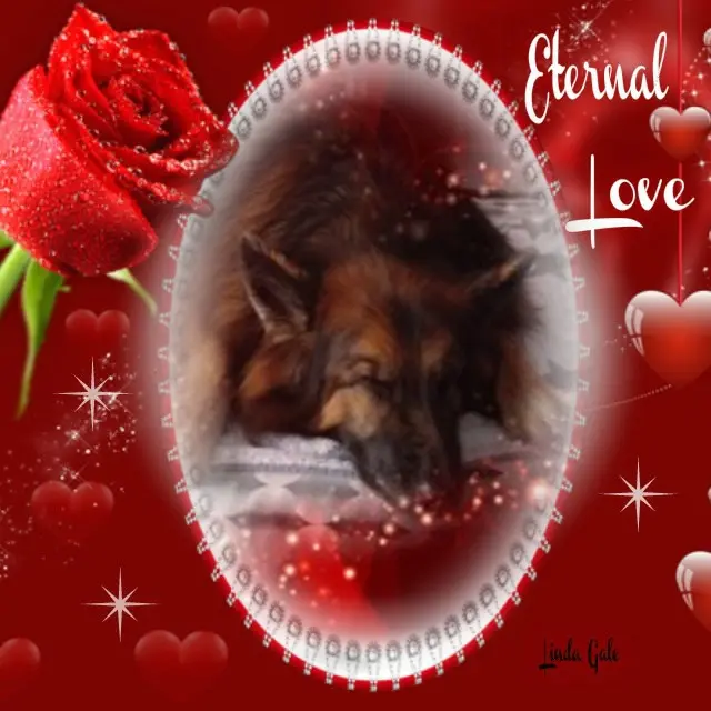 Condolence image of Dobrej Nocki❤️❤️❤️mój Ukochany❤️❤️❤️Misieńku❤️❤️❤️⭐️🐕🫶🫶🫶💋💋💋