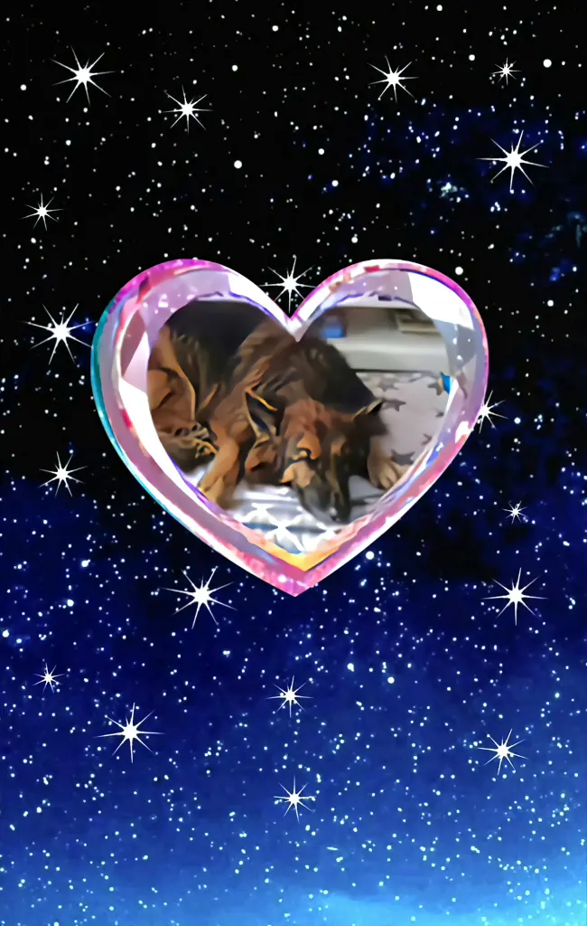 Condolence image of Dobrej Nocki💙🩵💙mój Ukochany❤️❤️❤️Misieńku❤️❤️❤️⭐️🐕🫶🫶🫶💋💋💋