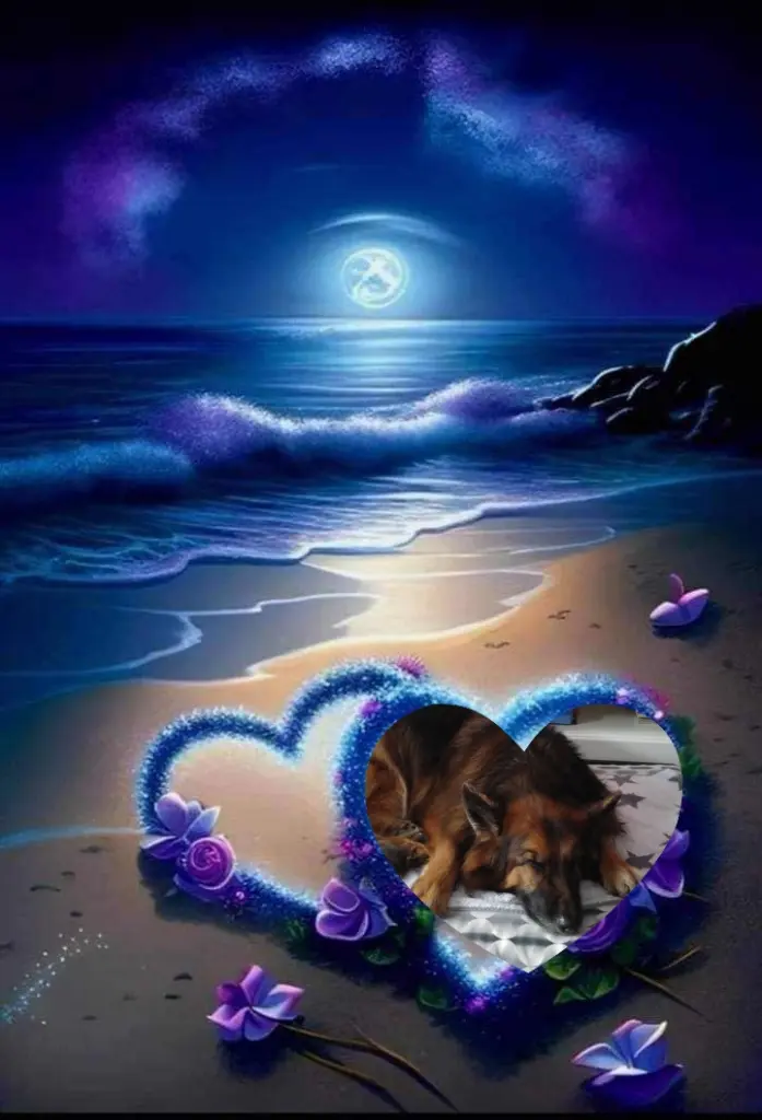 Condolence image of Dobrej Nocki❤️❤️❤️mój Ukochany❤️❤️❤️Misieńku❤️❤️❤️🐕⭐️🫶🫶🫶💋💋💋