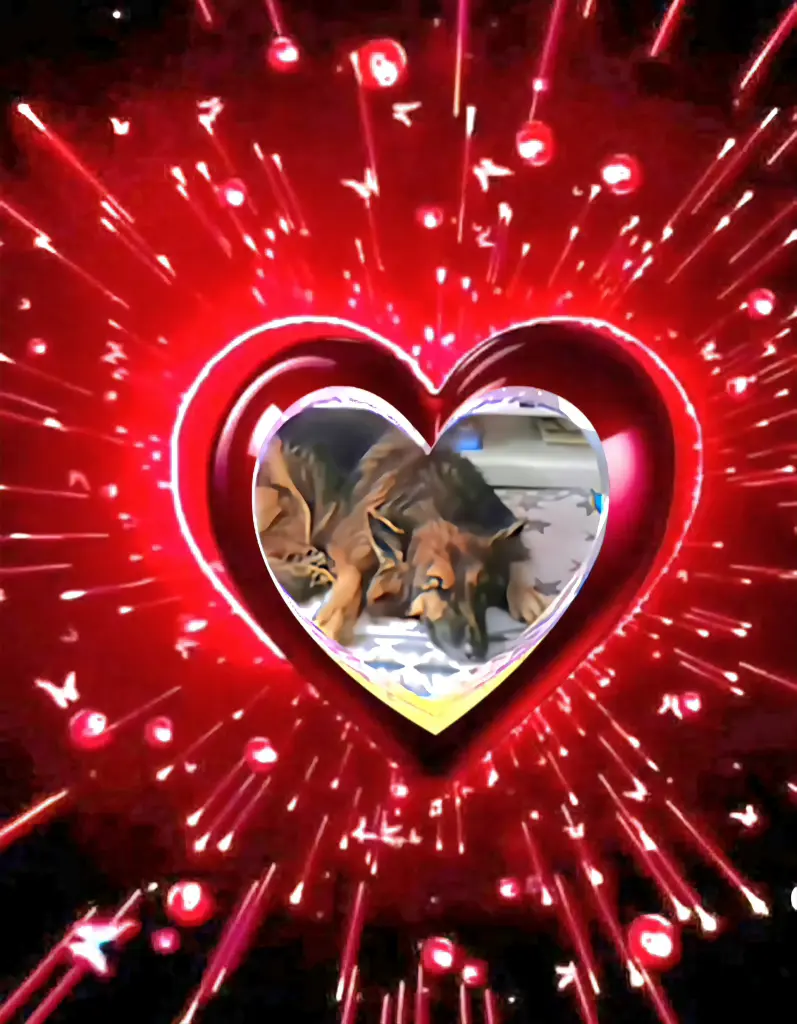 Condolence image of Dobrej Nocki❤️❤️❤️mój Ukochany❤️❤️❤️Misieńku❤️❤️❤️⭐️🐕🫶🫶🫶💋💋💋