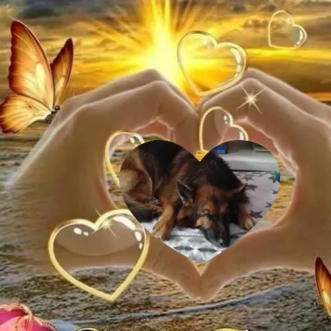 Condolence image of Dobrej Nocki❤️❤️❤️mój Ukochany❤️❤️❤️Misieńku❤️❤️❤️⭐️🐕🫶🫶🫶💋💋💋