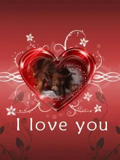 Condolence image of Dobrej Nocki❤️❤️❤️mój Ukochany❤️❤️❤️Misieńku❤️❤️❤️⭐️🐕🫶🫶🫶💋💋💋