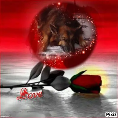Condolence image of Dobrej Nocki❤️❤️❤️mój Ukochany❤️❤️❤️Misieńku❤️❤️❤️⭐️🐕🫶🫶🫶💋💋💋
